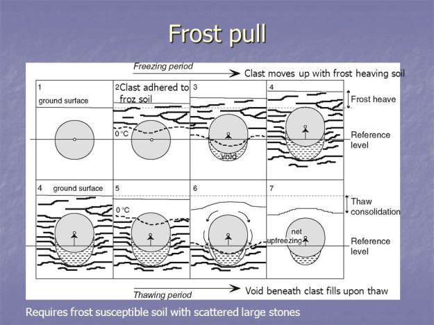 Frost+pull+Requires+frost+susceptible+soil+with+scattered+large+stones